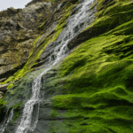 St Nectan's Waterfall • Tintagel, Cornwall, England, United Kingdom