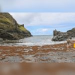 Into the Water • Tintagel, Cornwall, England, United Kingdom
