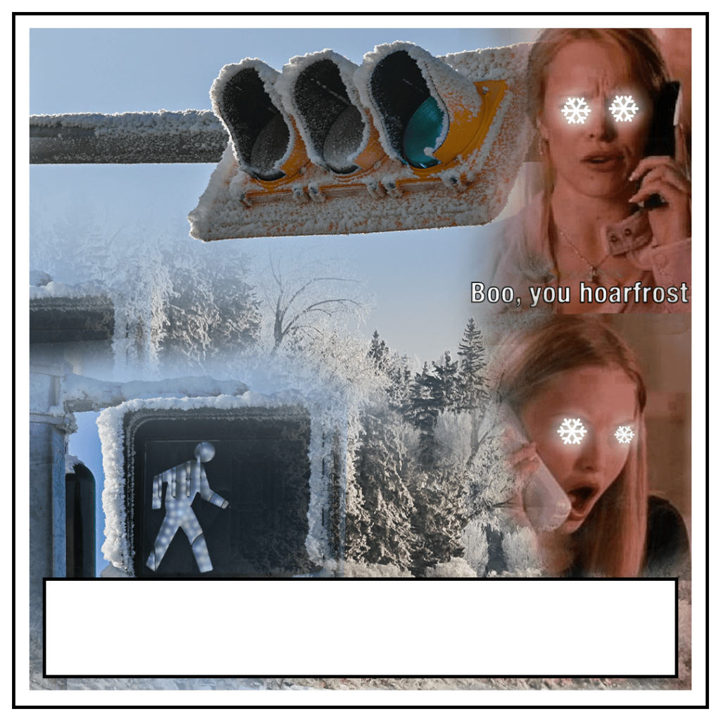 Calgary-Hoarfrost-in-City-January-6-Hoarfost-or-Rime-Frost