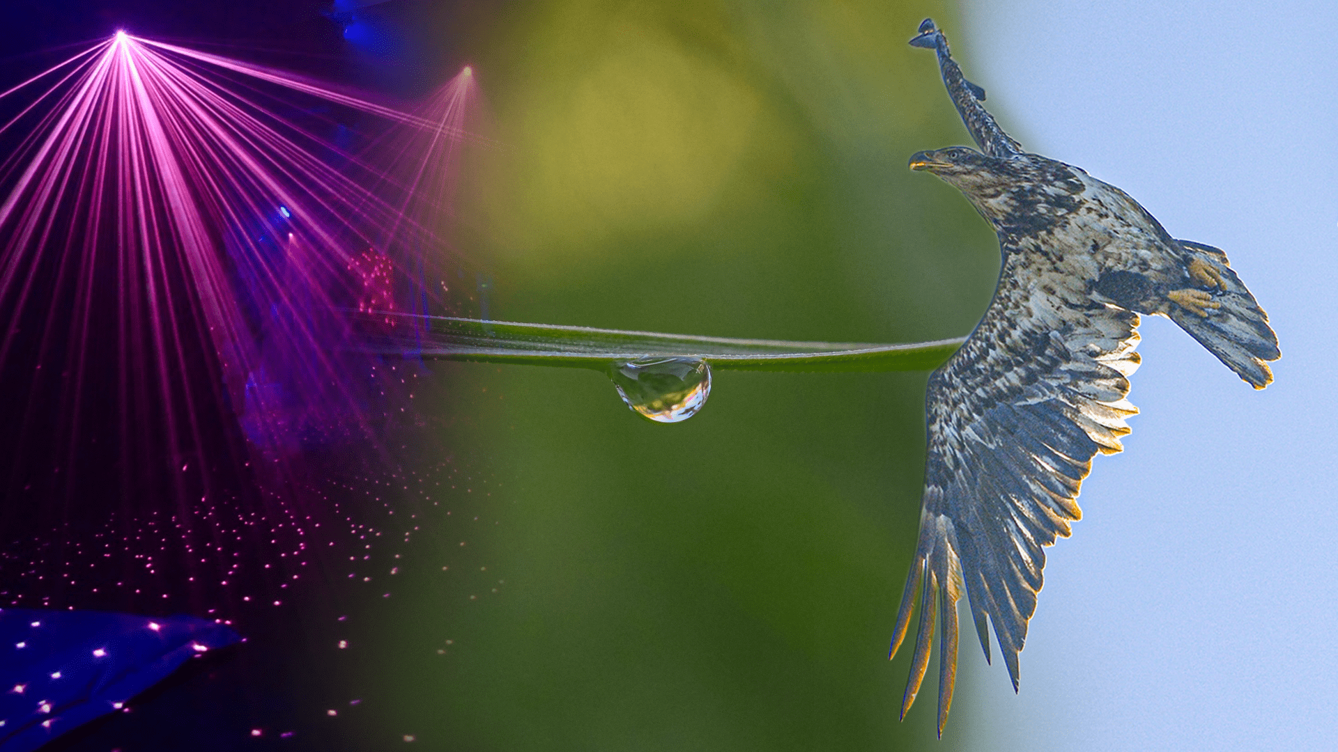 Warlock Media Photography Samples