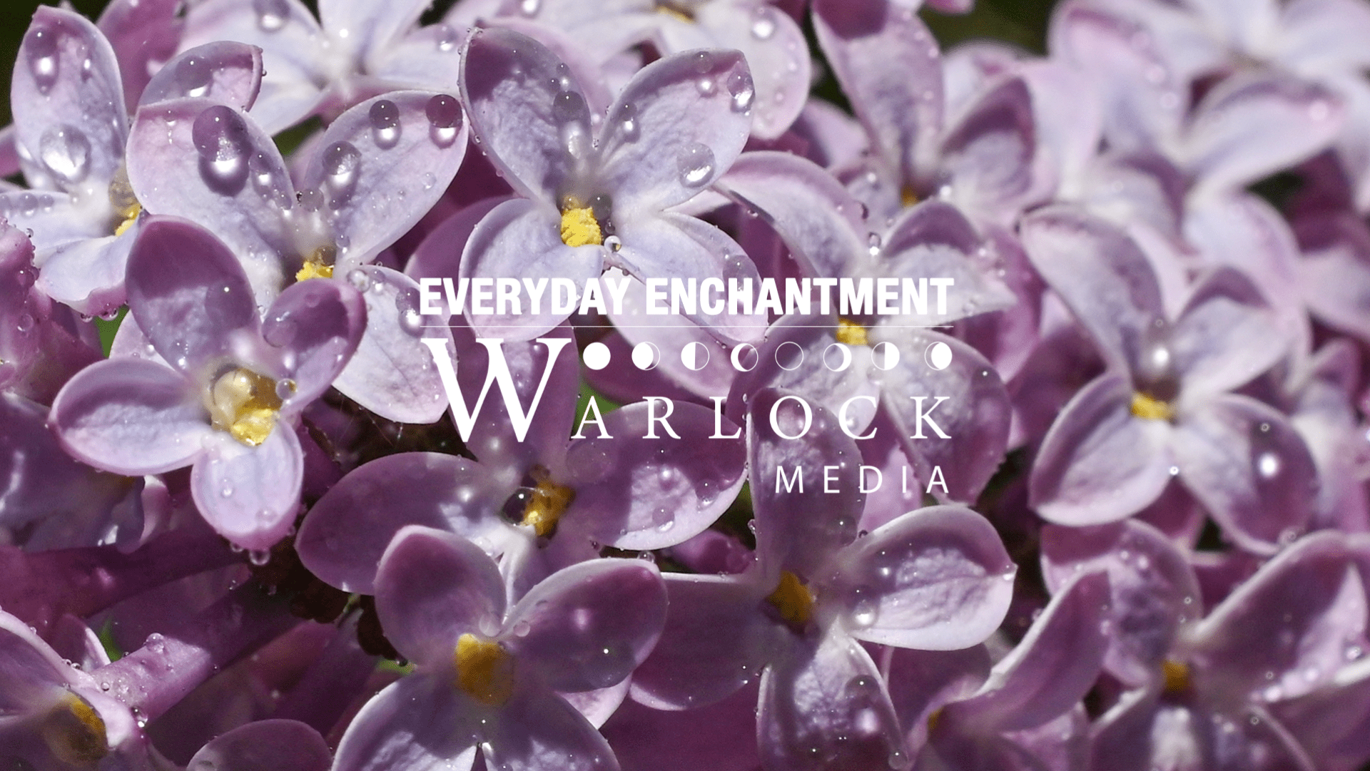 Warlock Media - Every Day Enchantment - Multimedia and Marketing Calgary Alberta Canada